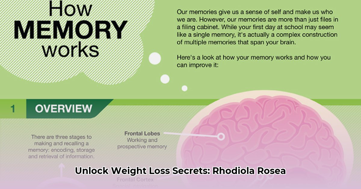 rhodiola-rosea-for-weight-loss